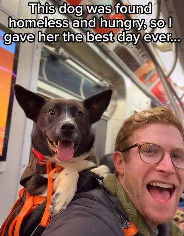 Bryan Reisberg, influenciador passeia com cães abandonados em mochilas pelas ruas de Nova York e 