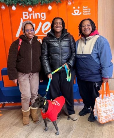 Bryan Reisberg, influenciador passeia com cães abandonados em mochilas pelas ruas de Nova York e 