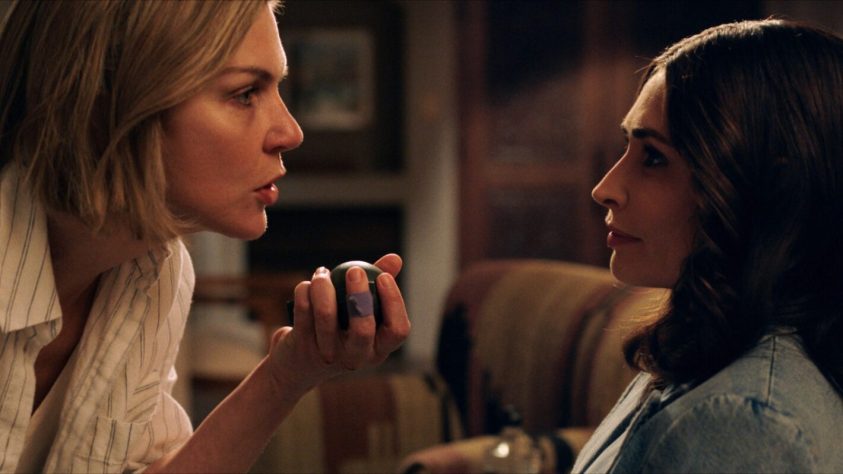 A trajetória da atriz Rhea Seehorn