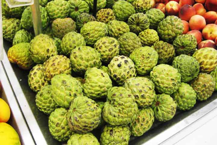 <p>A origem da fruta-do-conde está na América Central e Caribe, regiões tropicais onde surgiu naturalmente.<br />
De lá, espalhou-se para vários países quentes do mundo e ganhou popularidade.</p>
