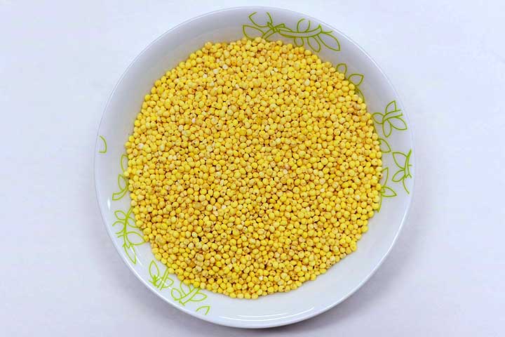 <p>O painço também está entre as sementes favoritas das aves. Periquitos, rolinhas e pequenos pássaros de jardim se aproximam rapidamente quando esse alimento é disponibilizado.</p>
