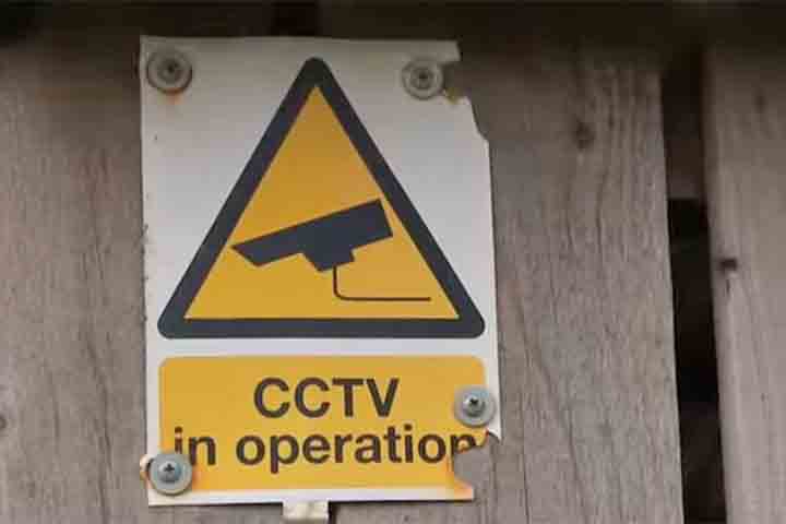 <p>Ao destacar os animais com uma cor tão chamativa, o produtor conseguiu envolver a comunidade local em uma vigilância indireta. Vizinhos, caminhantes e moradores passaram a notar com mais facilidade qualquer movimentação suspeita, criando uma rede de atenção espontânea.</p>
