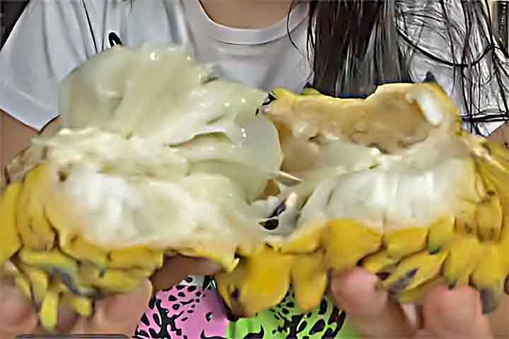 <p>Em termos nutricionais, a fruta-do-conde é rica em fibras e vitamina C.<br />
Também contém potássio e antioxidantes importantes para o organismo</p>
