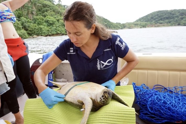 Bióloga brasileira está entre finalistas do Whitley Awards, maior prêmio mundial de conservação – Juliano Bazanella/Rebimar