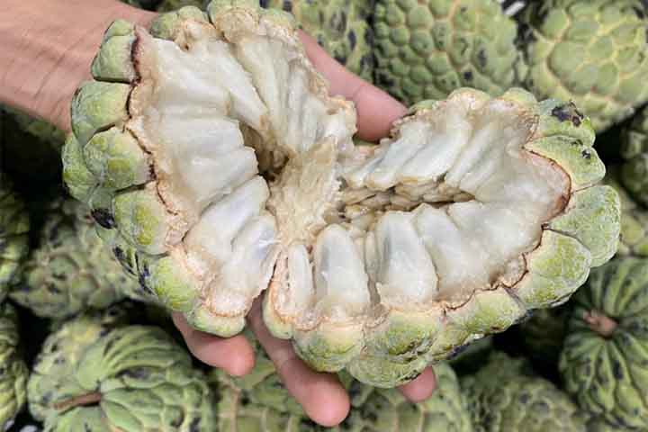 <p>Entre os minerais presentes estão cálcio, magnésio e fósforo.<br />
Esses nutrientes ajudam a manter ossos e dentes saudáveis.</p>
