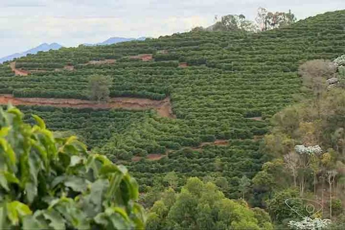Dores do Rio Preto, município brasileiro do estado do Espírito Santo - Reprodução TV Gazeta