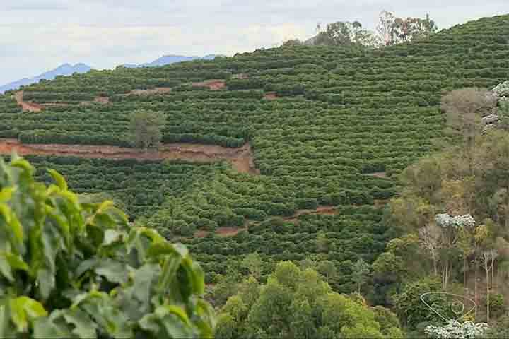 <p>“Somos um interior que permanece com toda a essência de cidade do interior. Recebemos bem o turista, produzimos um bom café, e um bom café sempre traz tranquilidade”, brincou o prefeito.</p>
