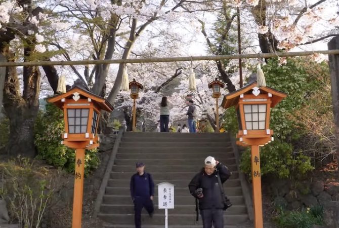 Cidade do Japão cancela festival das cerejeiras após complicações causadas pelo turismo excessivo