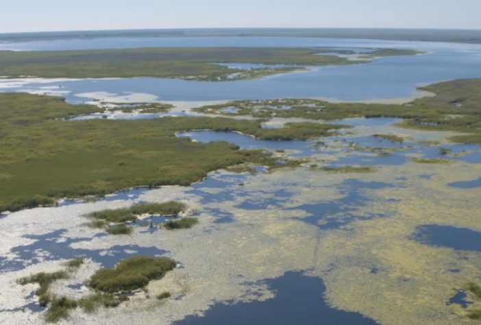 Lago Kartal, Ucrânia – Reprodução/Rewilding Danube Delta
