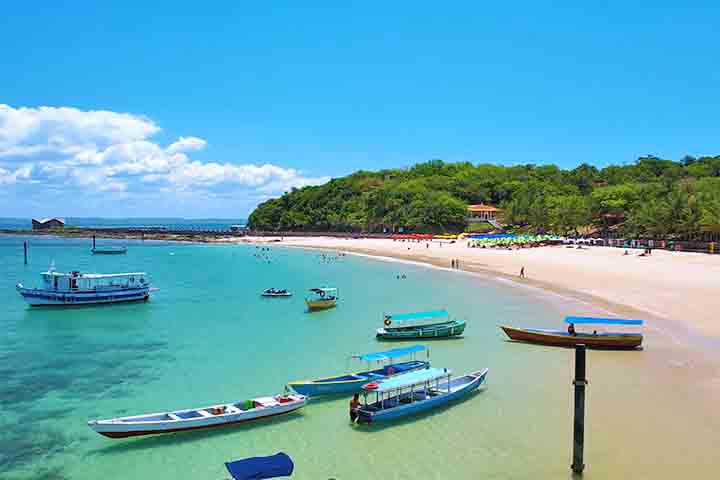 <p>A praia é detentora do selo internacional Bandeira Azul, que exige padrões rígidos de segurança, infraestrutura sanitária e educação ambiental.</p>
