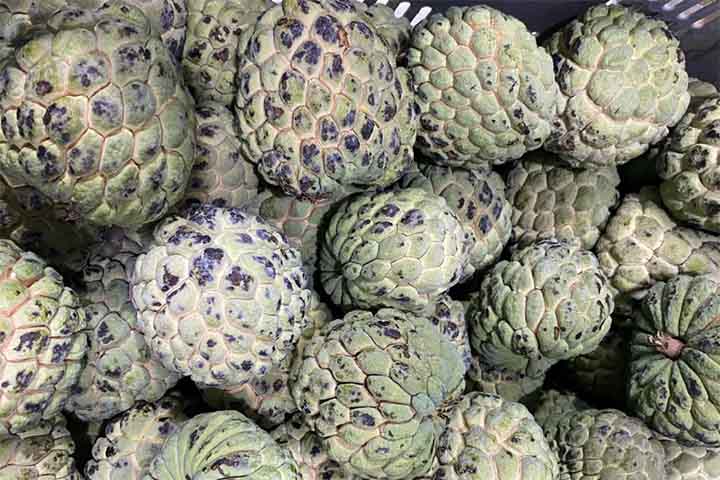 <p>O consumo pode favorecer o funcionamento do intestino por ser rico em fibras.<br />
Também contribui para fortalecer a imunidade e regular a glicemia.</p>
