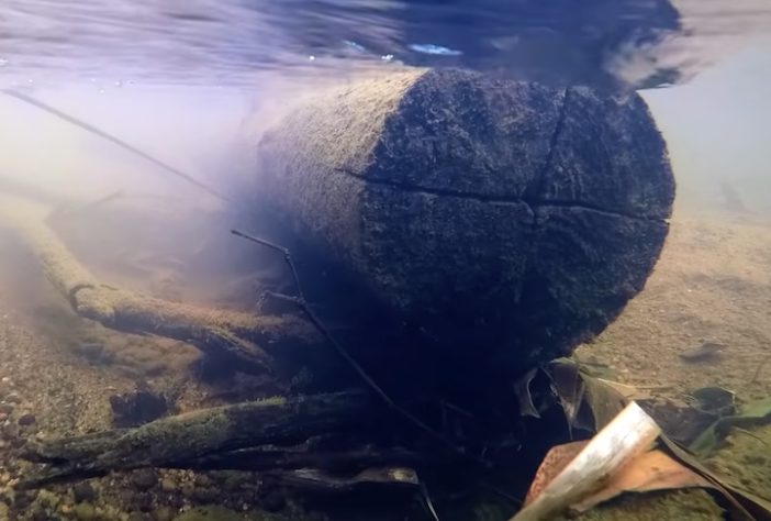 Helicópteros despejam milhares de troncos em rios isolados nos Estados Unidos para devolver habitats a salmões – Reprodução/YouTube