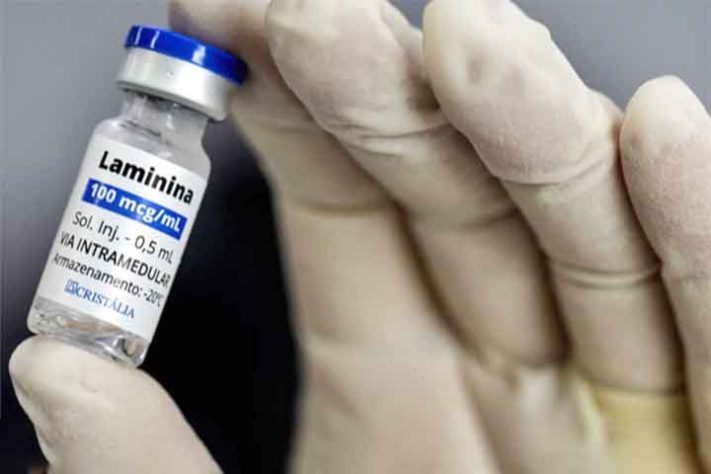 Cientista Tatiana Sampaio e o trabalho para reverter lesões na medula espinhal