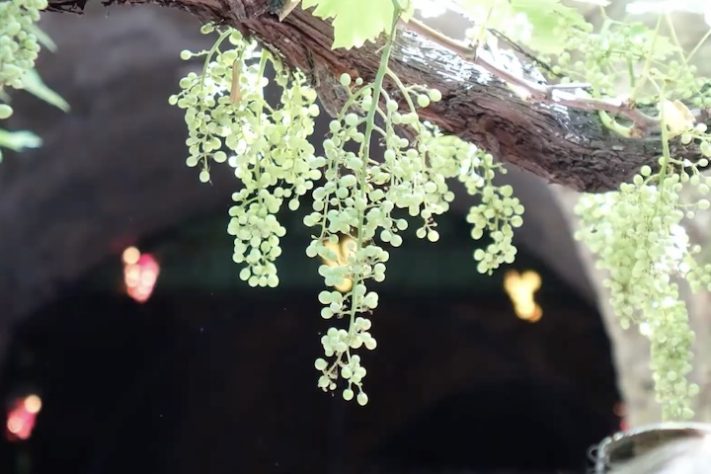 Forestiere Underground Gardens – Complexo subterrâneo escavado manualmente por imigrante se torna patrimônio histórico da Califórnia – Reprodução/Fresno Bee