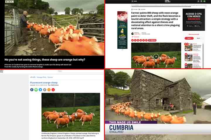 <p>O caso ganhou espaço na mídia britânica e internacional, chamando atenção para um problema pouco discutido fora das comunidades rurais. Assim, a história das ovelhas laranja trouxe visibilidade para o tema dos furtos no campo.</p>
