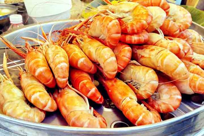 Camarão, crustáceo aquático