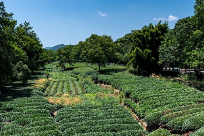 Wuyishan, Província de Fujian, China | Flickr - xiquinhosilva