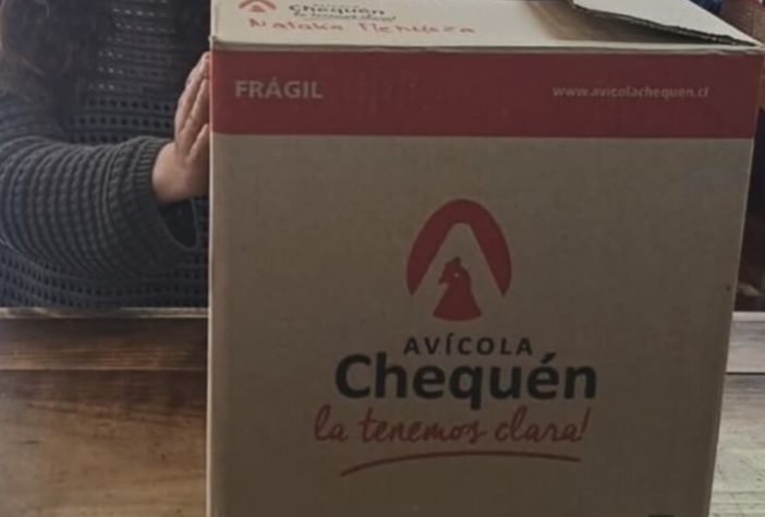 Empresa chilena Avícola y Fundo Chequén com quase 70 anos de história fecha as portas após surto de gripe aviária – Reprodução 