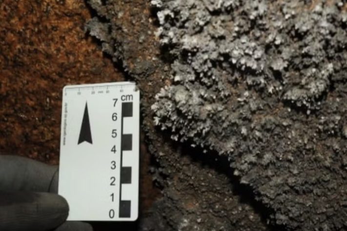 Expedição no interior de São Paulo revela 7 novas cavernas – Divulgação/Grupo da Geo de Espeleologia (GGEO)