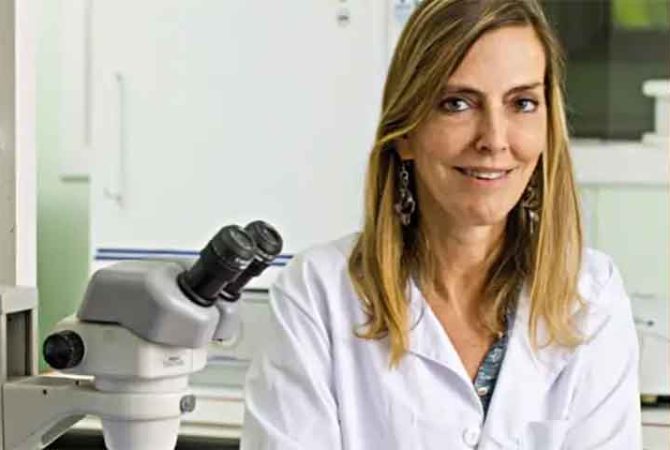 Cientista brasileira lidera estudo que pode revolucionar tratamento de lesão na medula