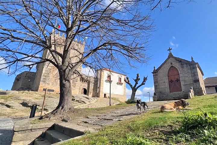 <p>Foi dali que saiu o comandante da expedição que deu início à presença portuguesa no território que viria a se tornar o Brasil.</p>
