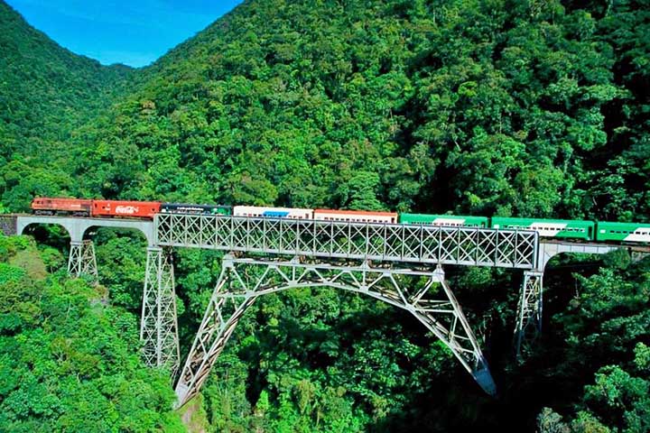 Para quem busca uma experiência mais contemplativa, o passeio de trem pela Serra do Mar é uma das atrações mais famosas da região. Operada pela Serra Verde Express, a viagem entre Curitiba e Morretes atravessa pontes, túneis e viadutos em meio à Mata Atlântica, revelando paisagens impressionantes ao longo do percurso.