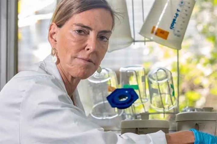 Cientista Tatiana Sampaio e o trabalho para reverter lesões na medula espinhal