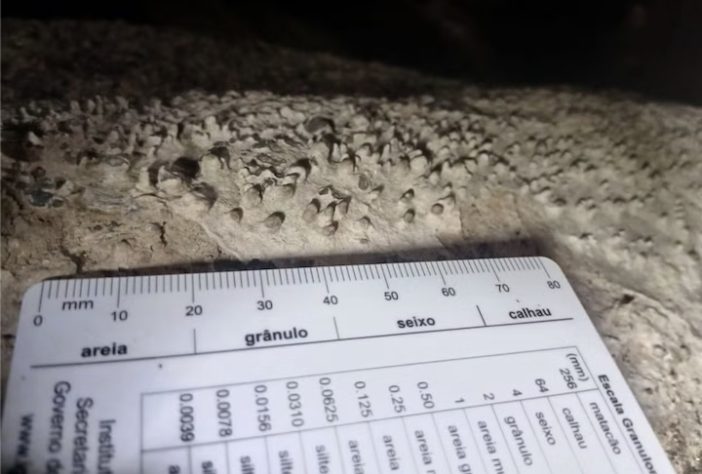 Expedição no interior de São Paulo revela 7 novas cavernas – Divulgação/Grupo da Geo de Espeleologia (GGEO)