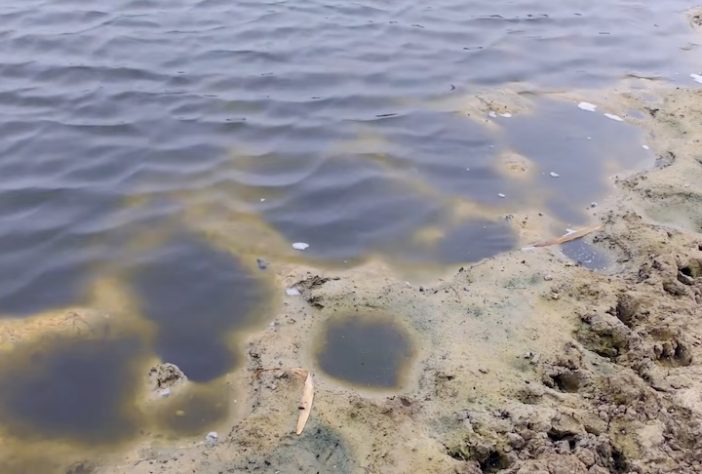 Lago Kartal, Ucrânia – Reprodução/Rewilding Danube Delta