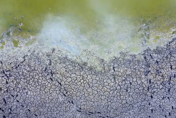Lago Kartal, Ucrânia – Reprodução/Rewilding Danube Delta