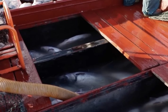 Deserto de Taklamakan, China – Reprodução