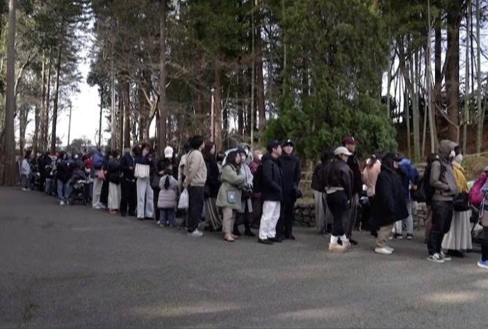 Filhote de macaco que comoveu a internet após adotar pelúcia é aceito por grupo em zoológico do Japão – Reprodução/TV Record