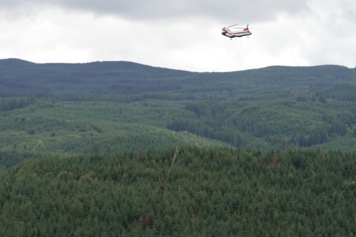 Helicópteros despejam milhares de troncos em rios isolados nos Estados Unidos para devolver habitats a salmões – Reprodução/YouTube