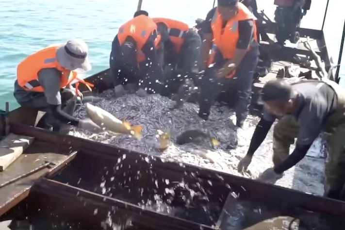 Deserto de Taklamakan, China – Reprodução