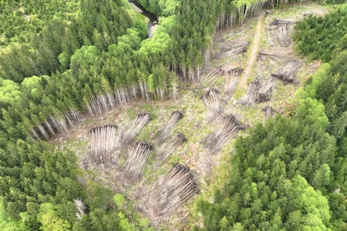 Helicópteros despejam milhares de troncos em rios isolados nos Estados Unidos para devolver habitats a salmões – Reprodução/YouTube