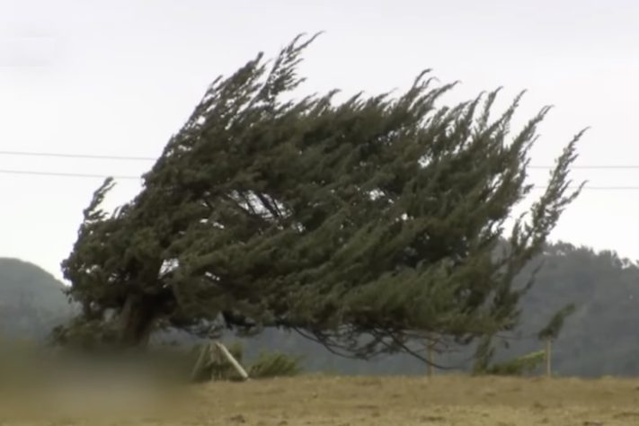 Ilha de Santa Helena – Reprodução/DW