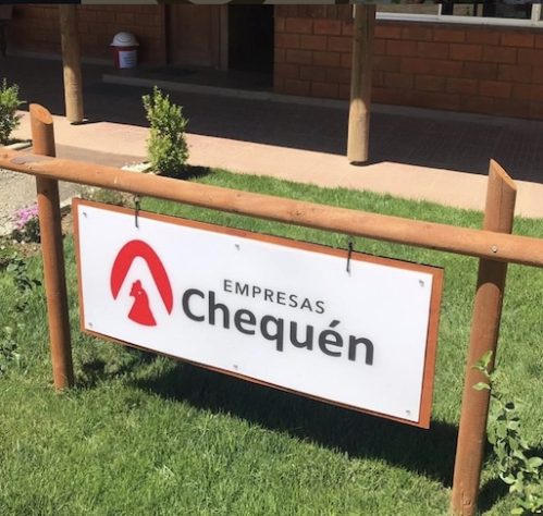 Empresa chilena Avícola y Fundo Chequén com quase 70 anos de história fecha as portas após surto de gripe aviária – Reprodução/Instagram