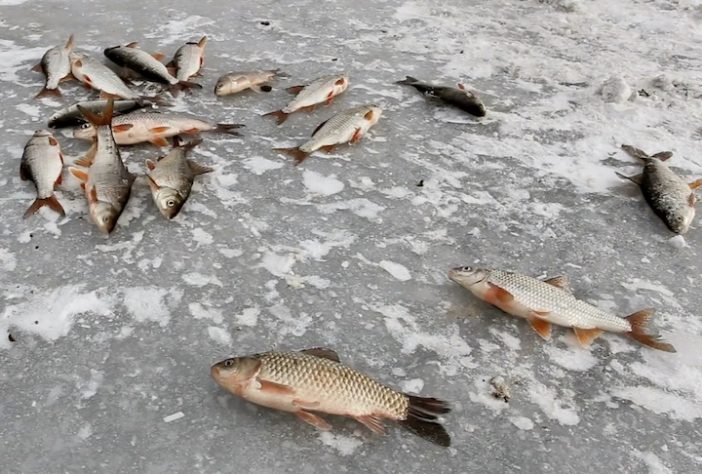 Lago Winnebago, Wisconsin – Reprodução/HookedOnLakes