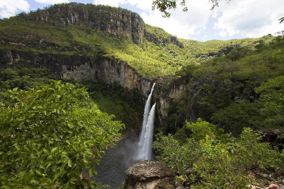<p>O avanço da Titônia ameaça inclusive áreas protegidas, como o Parque Nacional de Brasília. Isso mostra que o problema não se restringe a condomínios, mas alcança ecossistemas inteiros.</p>
<p>&nbsp;</p>
