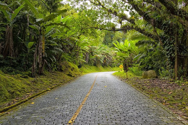 Nos arredores de Morretes, a histórica Estrada da Graciosa encanta com suas curvas sinuosas, mirantes e paisagens cercadas pela vegetação exuberante da Mata Atlântica. Já o Ekôa Park amplia o contato com a natureza por meio de trilhas, atividades de educação ambiental e diferentes experiências ao ar livre.