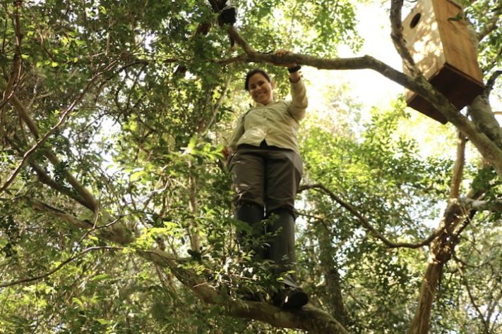 Gabriela Cabral Rezende – Divulgação/IPÊ
