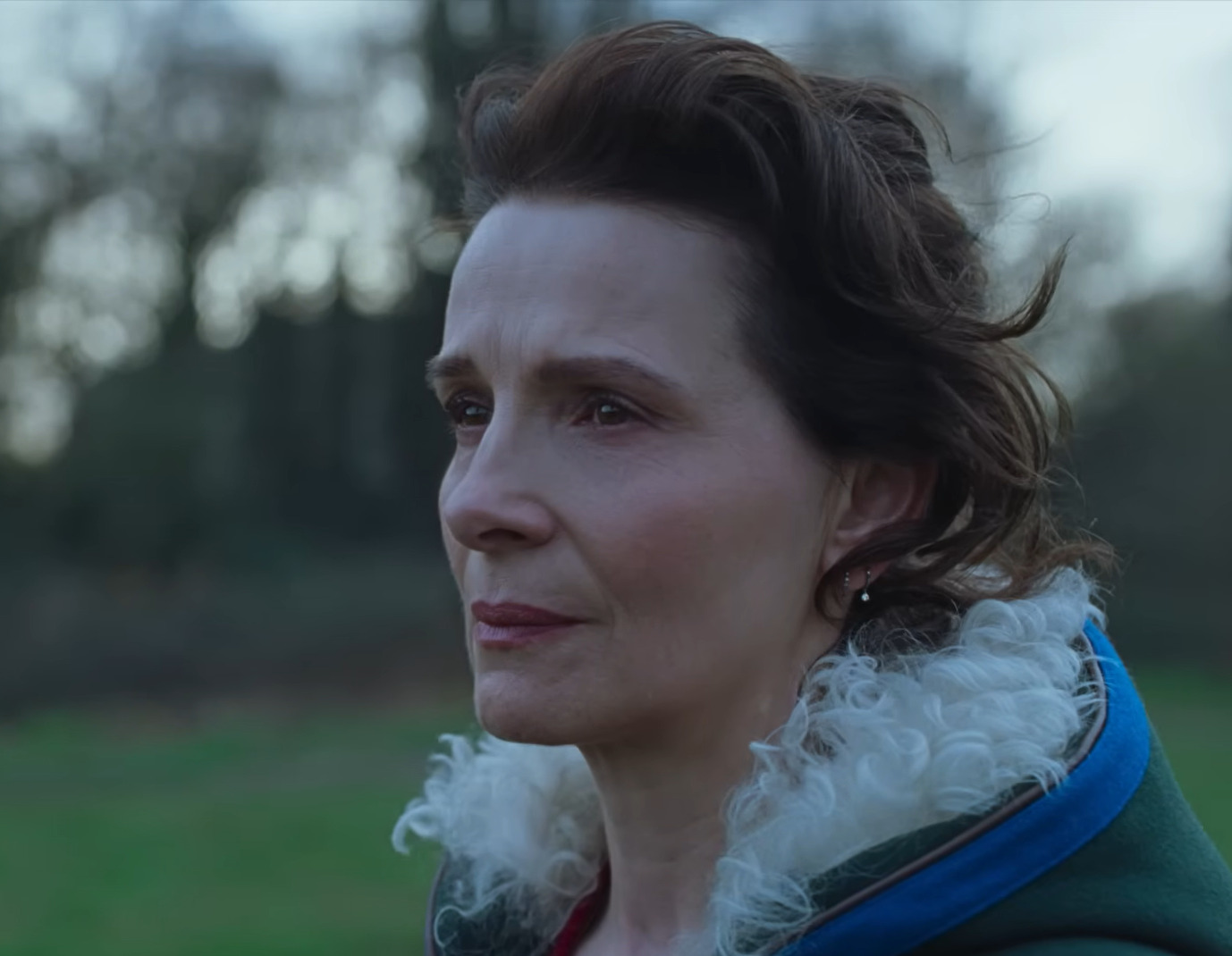 <p>Dirigido pelo americano Lance Hammer, vencedor do Sundance por “Ballast” em 2008, o filme acompanha Leslie, uma idosa com demência interpretada por Anna Calder-Marshall, e seu marido, Martin, vivido por Tom Courtenay, que cuida dela. Amanda, personagem de Binoche, é filha de Leslie e mãe de uma adolescente; ela decide assumir os cuidados da mãe após divergências sobre o tratamento adequado.</p>
