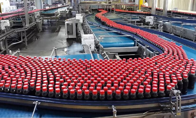 <p>A proximidade com rodovias estratégicas reduz custos e acelera entregas, enquanto sistemas automatizados asseguram controle de qualidade e eficiência operacional. A Coca-Cola, aliás, é uma gigante de alcance mundial com uma história de sucesso.</p>
