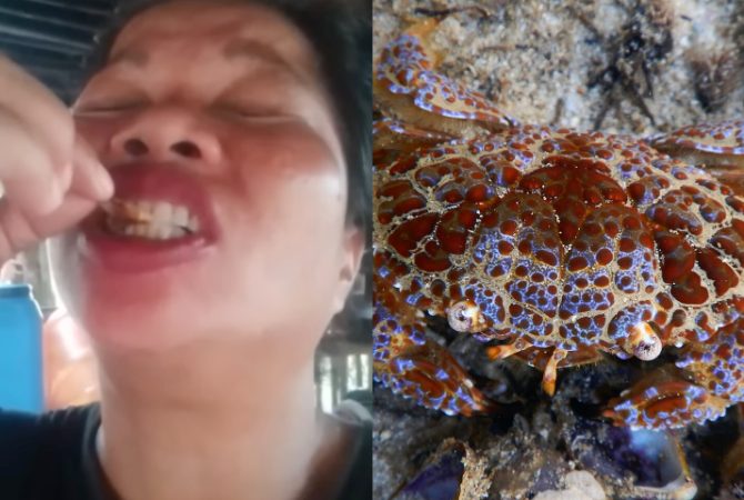 Influenciadora de 51 anos morre depois de gravar vídeo comendo caranguejo com toxina mortal