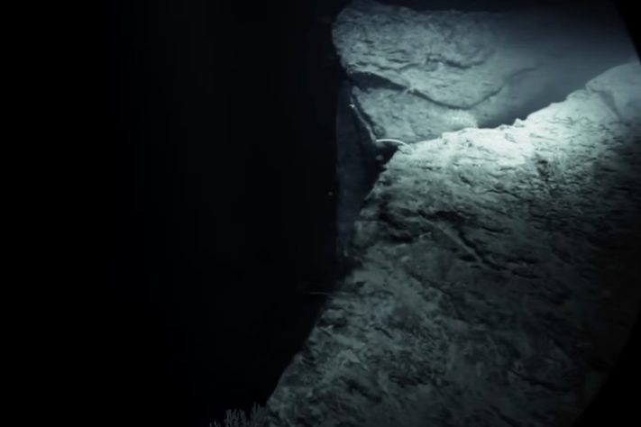 Expedição pelo oceano profundo –Reprodução/YouTube