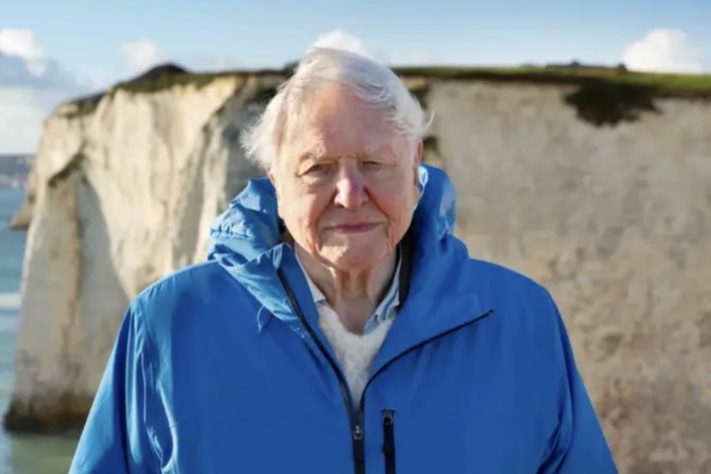 David Attenborough – Reprodução/Silverback Films and Open Planet Studios