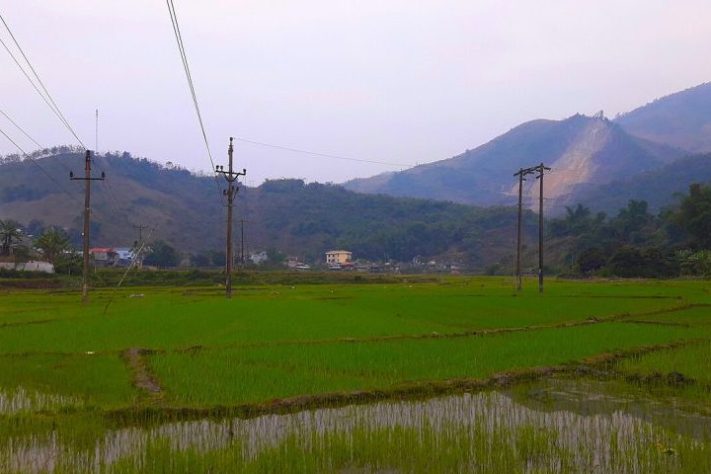 Campo de arroz no distrito de Muong Cha, no Vietnã – Wikimedia Commons/Ioe2015