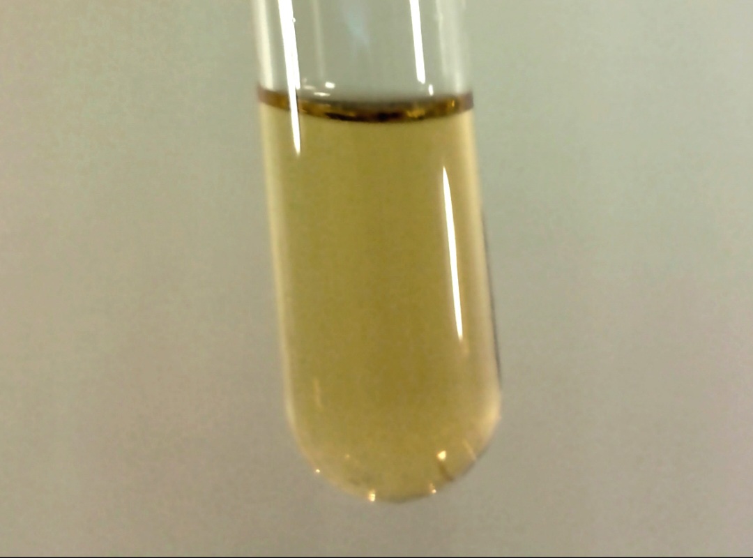 <p>Entender a diferença entre flúor elementar e compostos fluoretados é essencial para combater desinformação. O certo é que o flúor não é considerado um elemento mineral essencial para o ser humano, embora pequenas quantidades possam beneficiar o fortalecimento ósseo, por exemplo.</p>
<p>&nbsp;</p>
