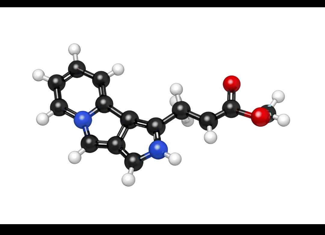 <p>Em 2021, a Anvisa autorizou a venda da melatonina como suplemento alimentar, sem necessidade de receita médica. Contudo, essa classificação gera controvérsia, já que a substância não corrige uma deficiência nutricional, mas atua como um neuro-hormônio, capaz de alterar funções vitais do corpo.</p>
