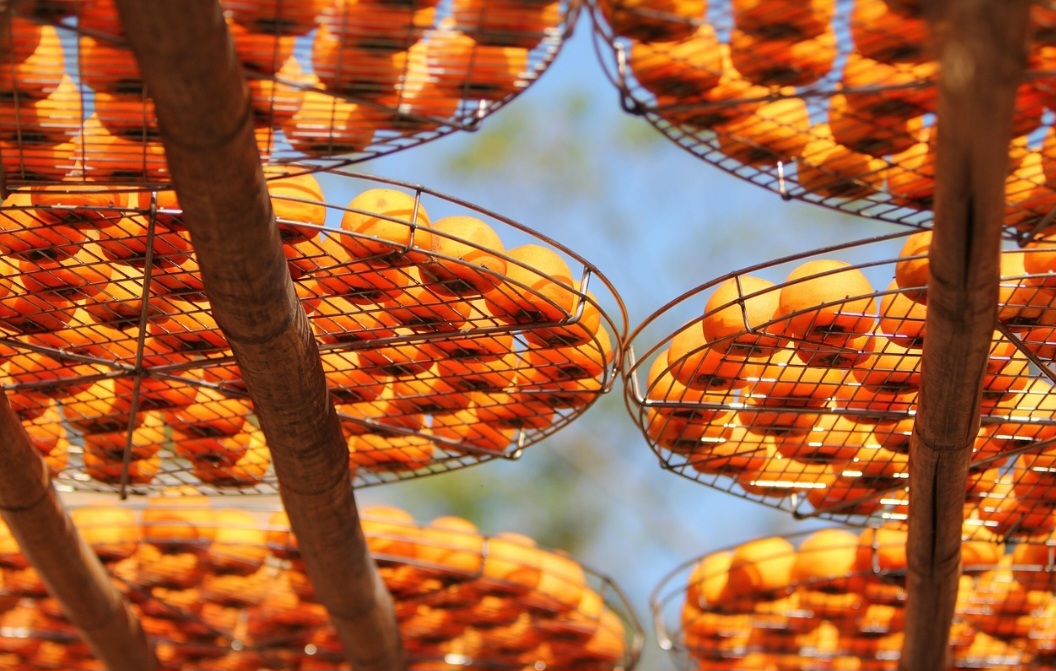 <p>O nome “tangerina” tem relação com a cidade de Tânger, no Marrocos, por onde a fruta se espalhou para a Europa. A partir dali, conquistou outros continentes e tornou-se presença comum em mercados.</p>
